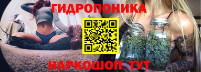 кокс Ставрополь