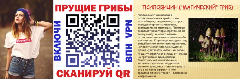 нарко площадка какой сайт Электросталь Галлюциногенные грибы Psilocybine cubensis