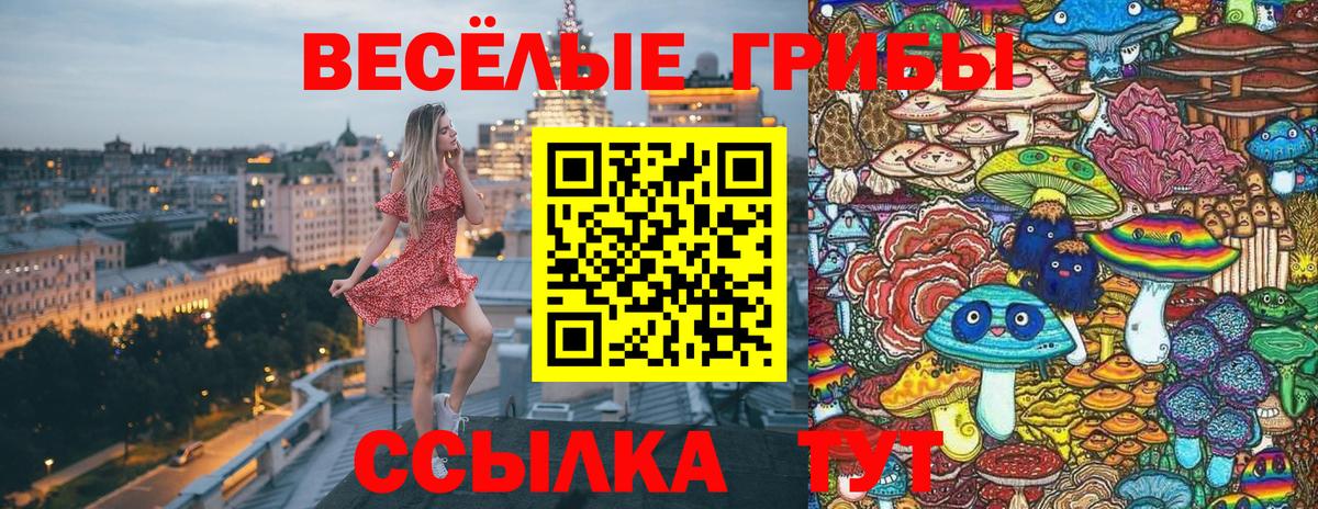 Псилоцибиновые грибы Psilocybine cubensis  Вход с VPN  Электросталь 