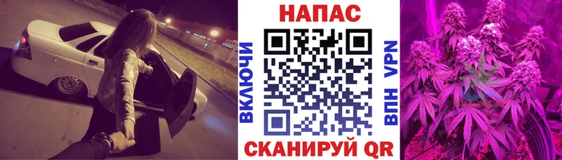 Каннабис сатива  хочу   Электросталь 
